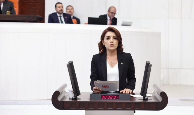 CHP’li Kış'tan Ticaret Bakanına Çağrı:''Fırsatçılara Geçit Vermeyin!''