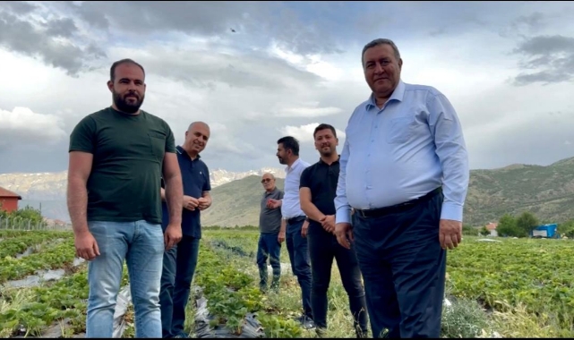 CHP'li Vekil Ö.Fethi Gürer, Tarlada Üreticiyi Dinledi