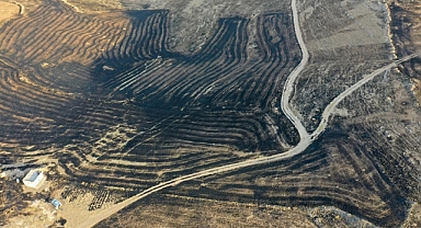 Diyarbakır Ve Mardin Arasında Anız Yangını:5 Ölü