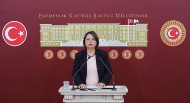 Müzeyyen Şevkin:''Yerel Medya Büyük Tehdit Altında!