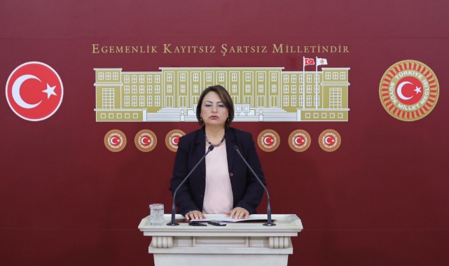 Müzeyyen Şevkin:''Yerel Medya Büyük Tehdit Altında!