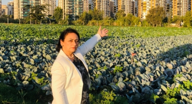 Şevkin'den ''Çukurova, “Afet Bölgesi” İlan Edilsin'' Çağrısı