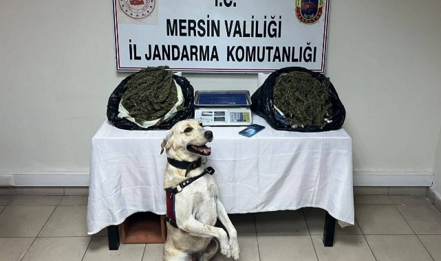 14 Kilo 350 Gram Esrar Ele Geçirildi