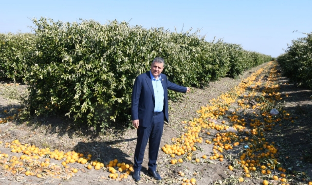 Ayhan Barut'tan Narenciye Üretimi Ve İhracatına Destek Çağrısı