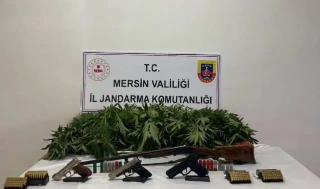 Bahçe Ve Ormanda Kenevir Yetiştiren 2 Şüpheli Yakalandı