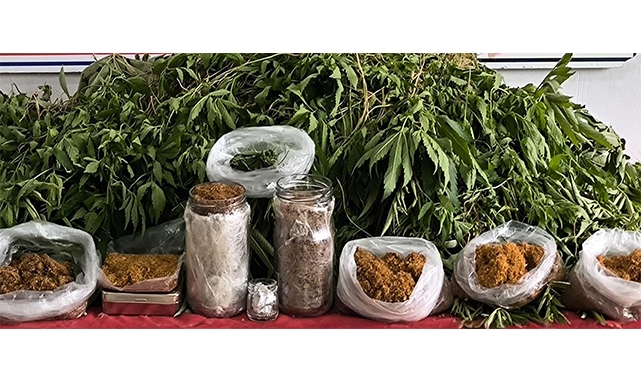 Evinde Yetiştirip Ticaretini Yapıyormuş