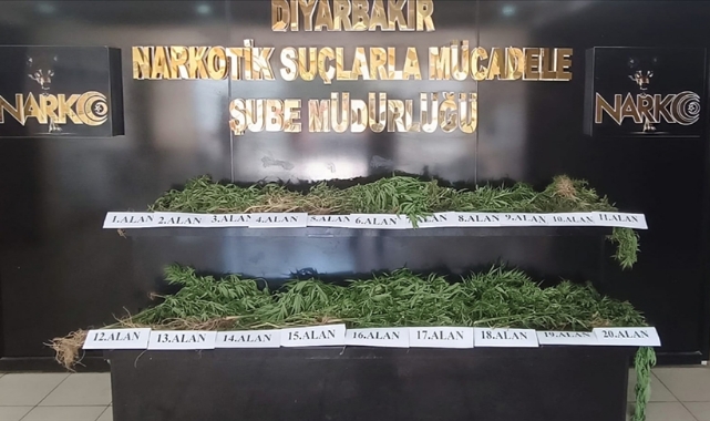 Hevsel Bahçeleri'nde 3 Bin 267 Kök Hint Keneviri Ele Geçirildi