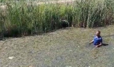 Jandarmadan Kaçan Firari Hükümlü Bataklığa Saplandı