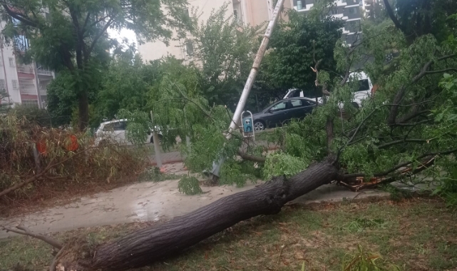 Şiddetli Rüzgar Hayatı Felç Etti!