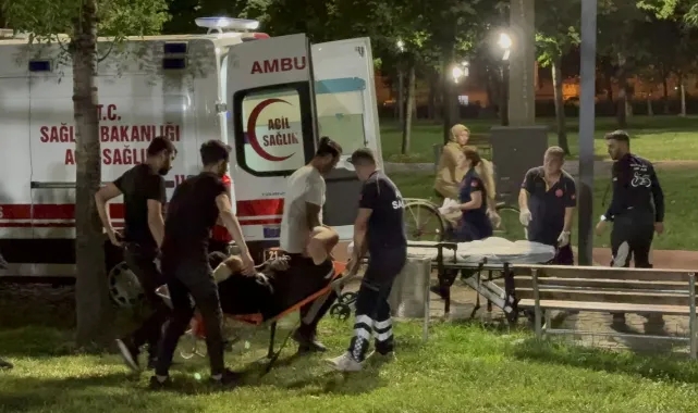 Tartıştığı Amcasını Silahla Vurdu