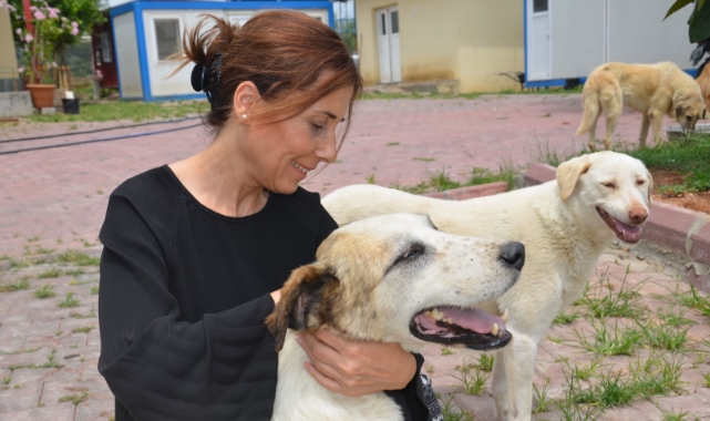 Tekin’den Sokak Hayvanları Yasası Açıklaması:“Ölümden Çözüm Olmaz”