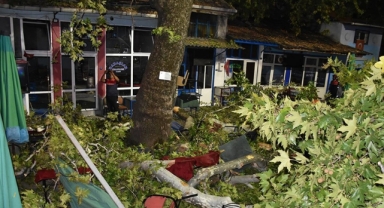 Asırlık Çınar Ağacının Dalları Üzerlerine Düştü