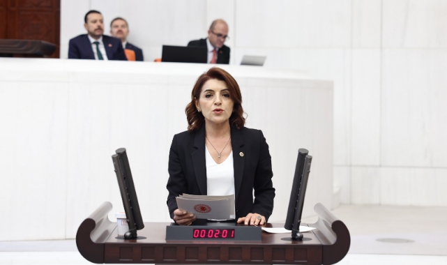 CHP’li Kış:“Hükümet Seyrediyor, Ev Kiraları Uçuyor”