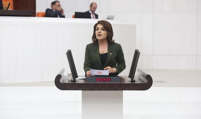 Çukurova Havalimanı Ve Devlet Bankaları Kredileri Meclis Gündeminde