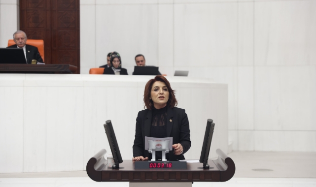 Gülcan Kış:''Yetersiz Uçaklarla Yangınları Söndüremezsiniz''