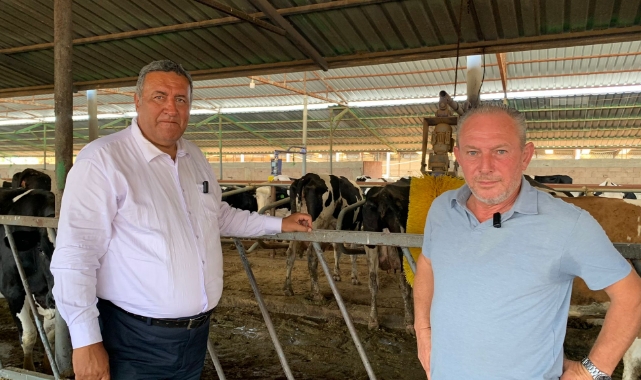 Gürer:''Hayvancılıkta Bir Kez Daha Tehlike Çanları Çalıyor”