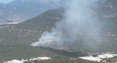 Mersin'de Orman Yangını