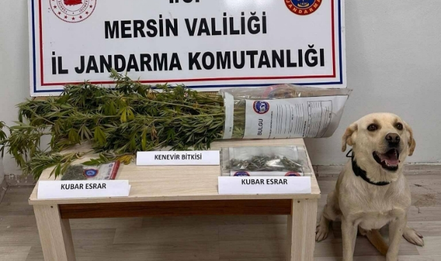 Mersin'de Uyuşturucu Operasyonu