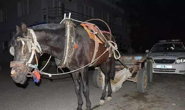 Sürücüsüz At Arabası 4 Araca Çarptı