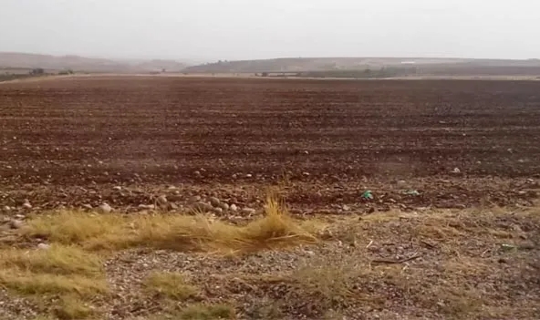 Adana'da Aranıyordu, Cesedi Konya'da Çıktı