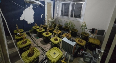 Apartman Dairesinde Uyuşturucu Serası Kurmuş