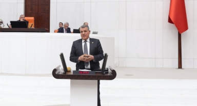 Ayhan Barut, Av Turizmi Katliam İhalelerinin İptalini İstedi