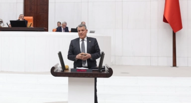 Ayhan Barut, Av Turizmi Katliam İhalelerinin İptalini İstedi