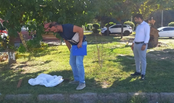 Bacakları Kesilmiş Kedi Cesedi Bulundu