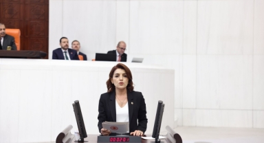 CHP’li Gülcan Kış:''MEB’de Krizler Bitmiyor!''