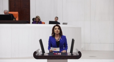 CHP’li Kış:''Ekonomik Kriz Önce Eğitimi Vurdu''