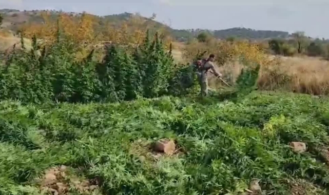 Diyarbakır'da Dev Narko-Terör Operasyonu