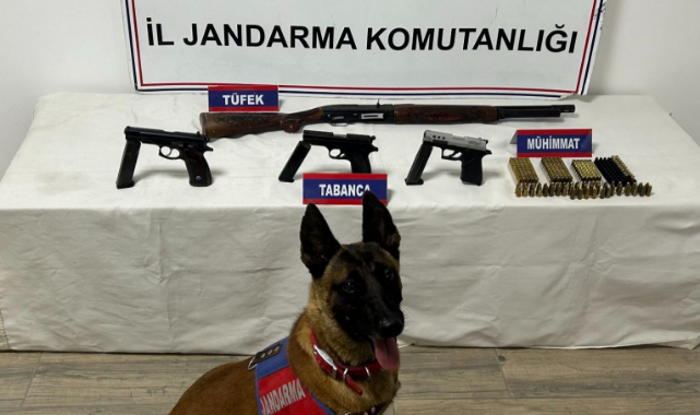 Jandarmadan Narkotik Ve Silah Operasyonu