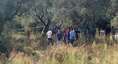 Kayıp Olarak Aranıyordu, Zeytin Bahçesinde Ölü Bulundu