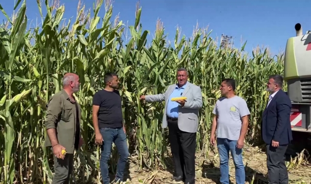 Mısır Üreticileri Gürer'e Dert Yandı:''Emeğimiz Tarlada Kaldı''