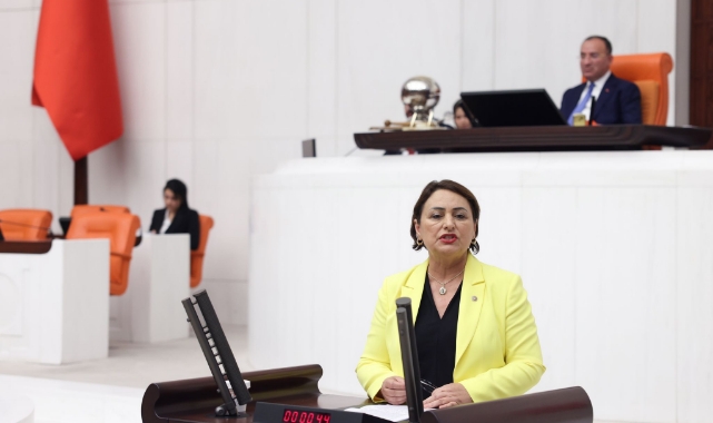 Şevkin, İş Cinayetlerine Dikkat Çekti:“8 Ayda 1201 İşçi Hayatını Kaybetti''