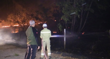 Adana'da Orman Yangını