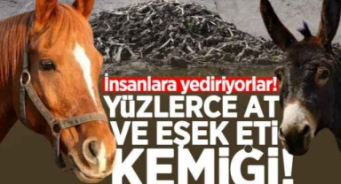 At ve eşek eti  YEDİRİYORLAR