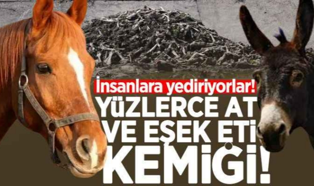 At ve eşek eti  YEDİRİYORLAR