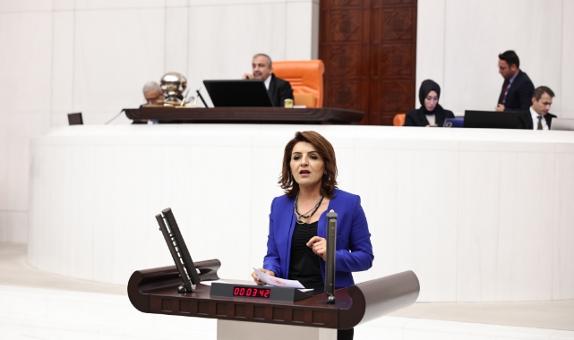 CHP'li Kış'tan İktidara ''Tüketici Hakları'' Eleştirisi