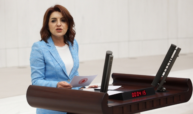 CHP'li Kış, TBMM Genel Kurulu’nda Göç Politikalarını Eleştirdi