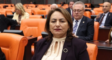 CHP'li Şevkin Adana'da Yaşanan Cinayetleri Meclise Taşıdı
