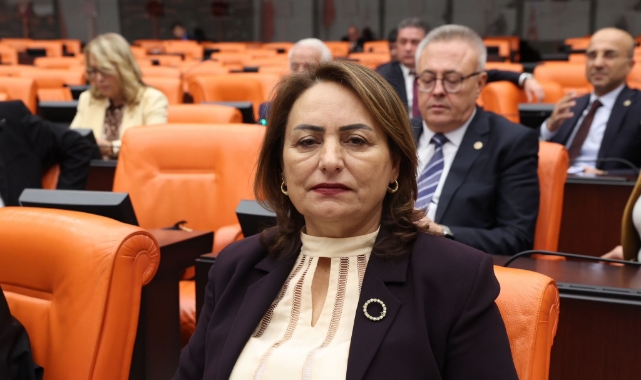 CHP'li Şevkin Adana'da Yaşanan Cinayetleri Meclise Taşıdı