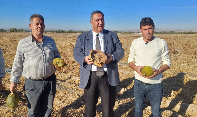 Gürer:''Masa Başında Laf Üretmek Yerine Tarlaya Çözüm Üretin''