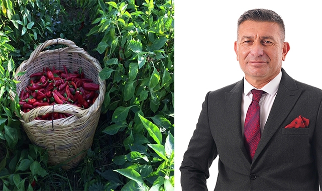 Karaisalı Biberi Resmen Tescillendi