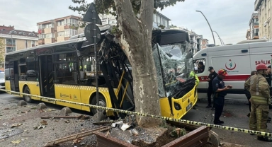 Kontrolden Çıktı, Ağaca Çarptı:7 Yaralı