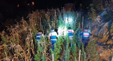 Mersin'de Uyuşturucu Operasyonu