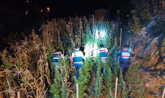 Mersin'de Uyuşturucu Operasyonu