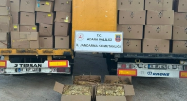 23 Ton Kaçak Tütün Ele Geçirildi
