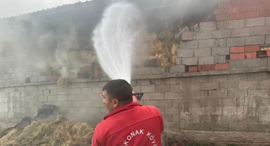 Besihane Yandı:12 Küçükbaş Hayvan Yanarak Öldü