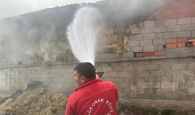 Besihane Yandı:12 Küçükbaş Hayvan Yanarak Öldü